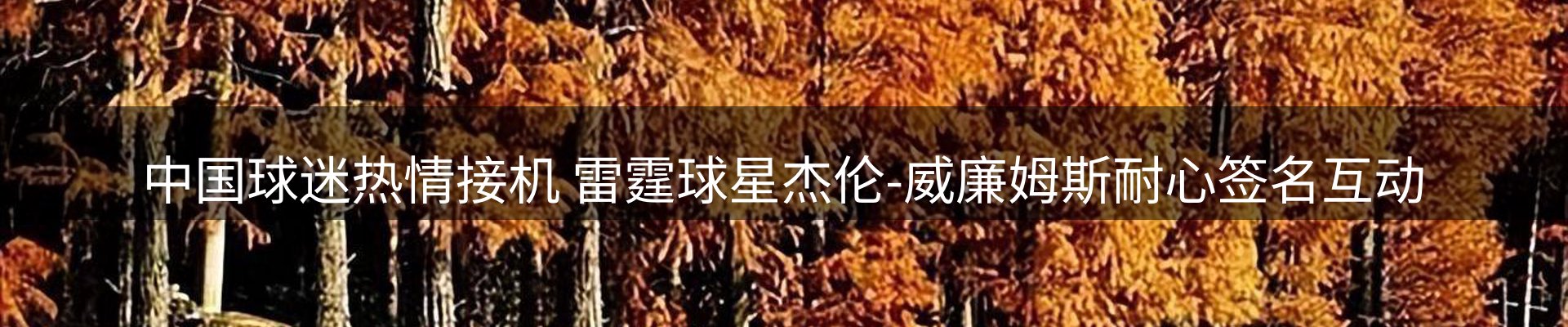 最新动态