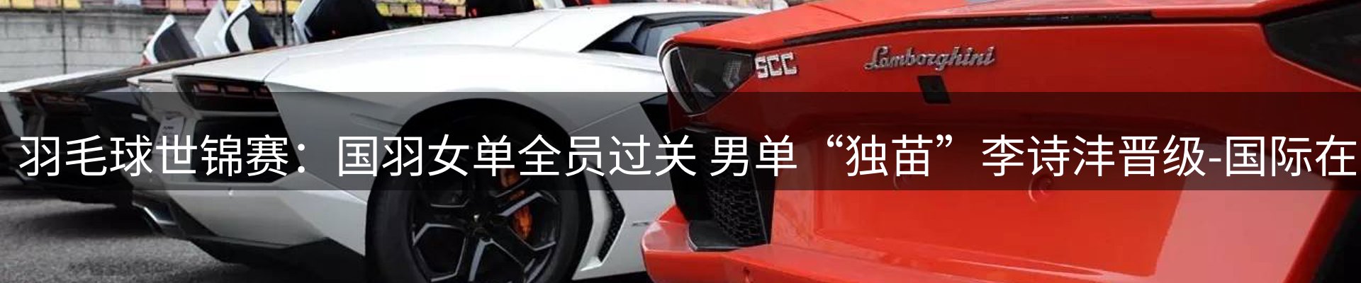 最新动态