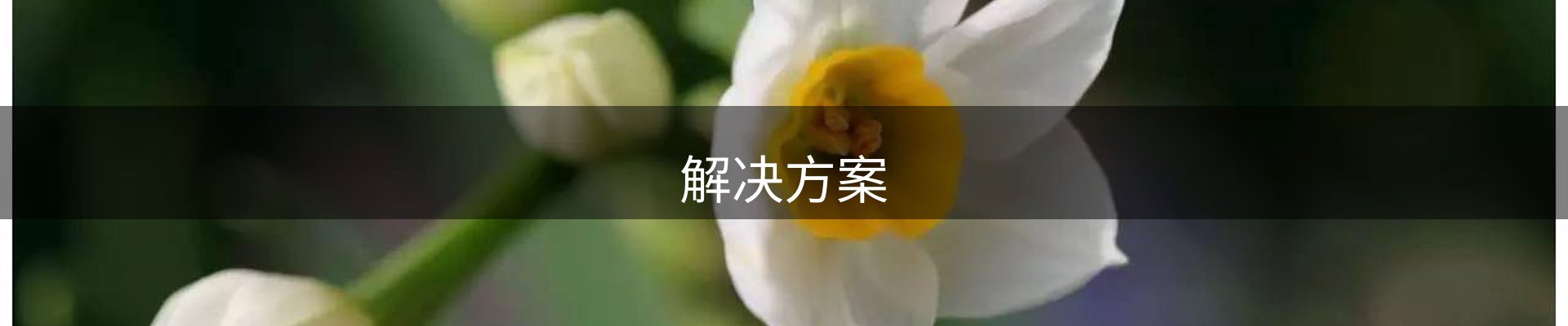 解决方案