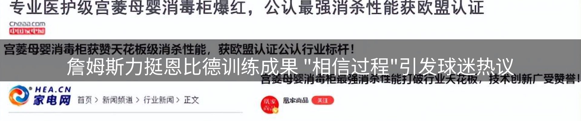 最新动态