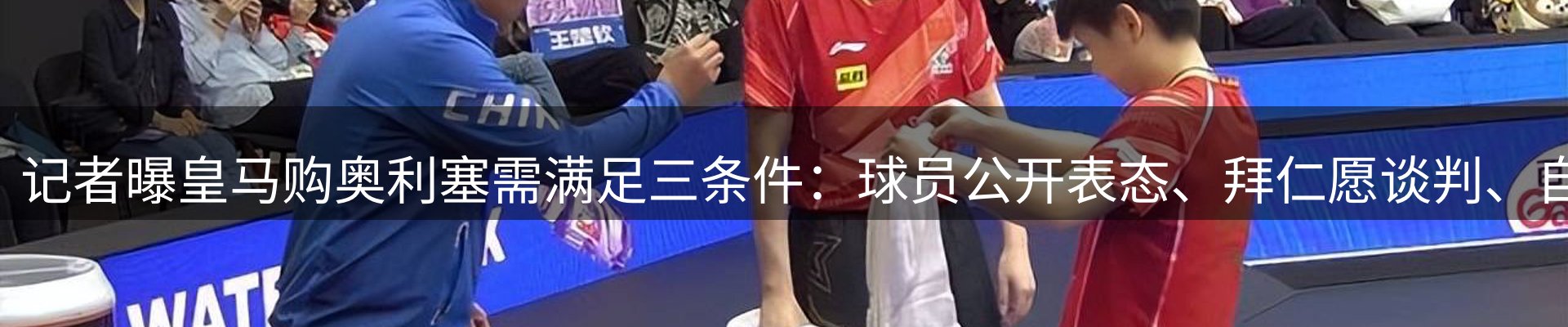 最新动态