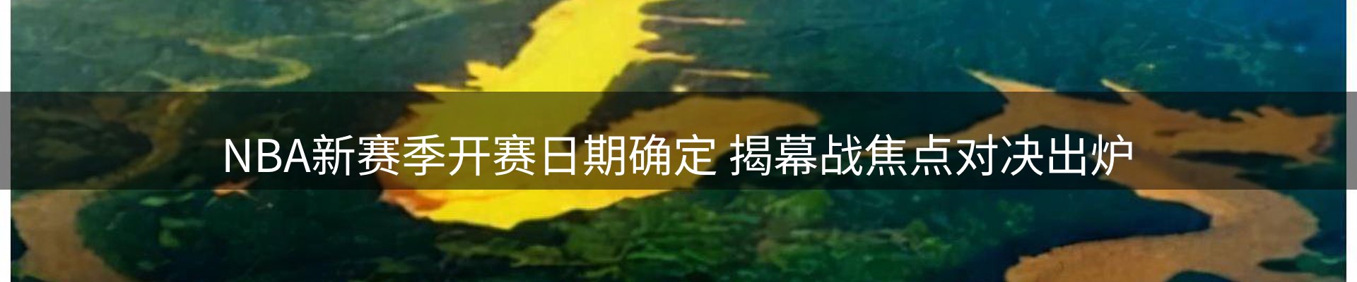 最新动态